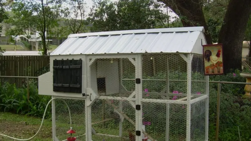  chicken coop prices by type