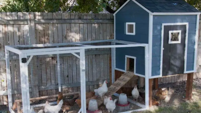 factors that affect chicken coop prices