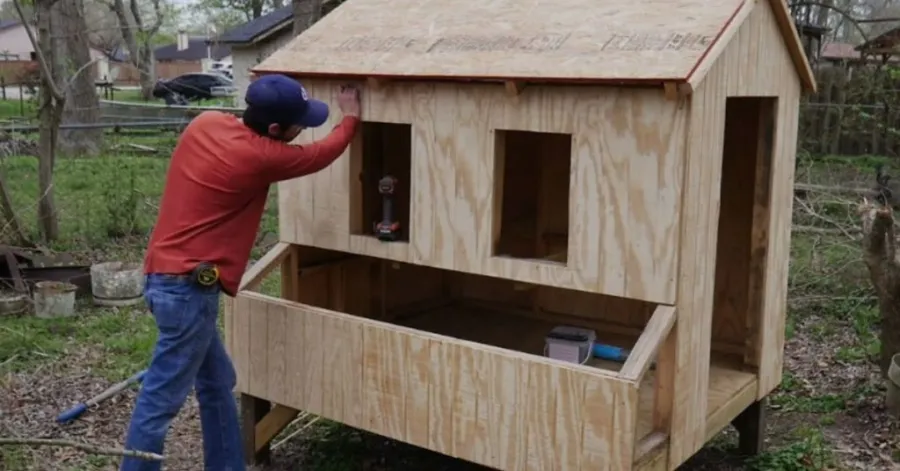 chicken coop construction plans