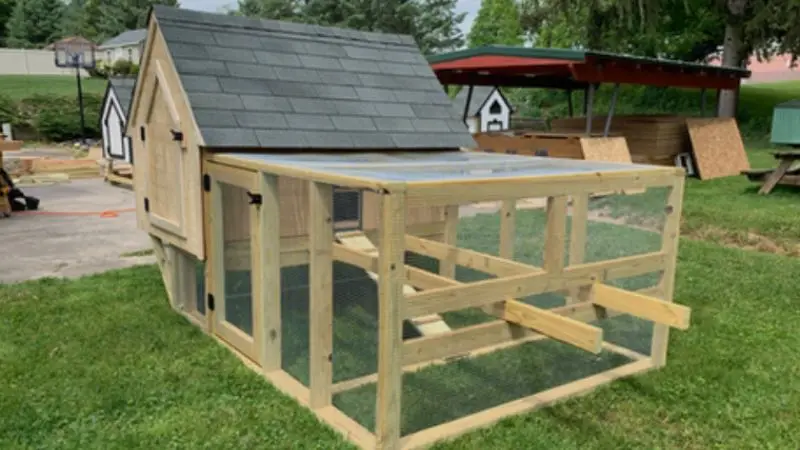 free vs. paid chicken coop construction plans