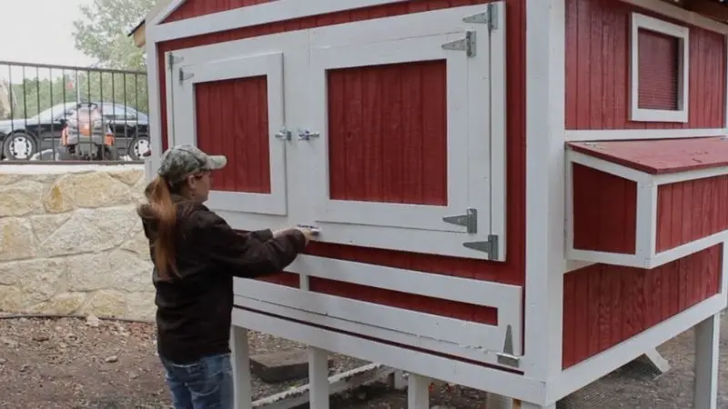 common mistakes to avoid when building a chicken coop