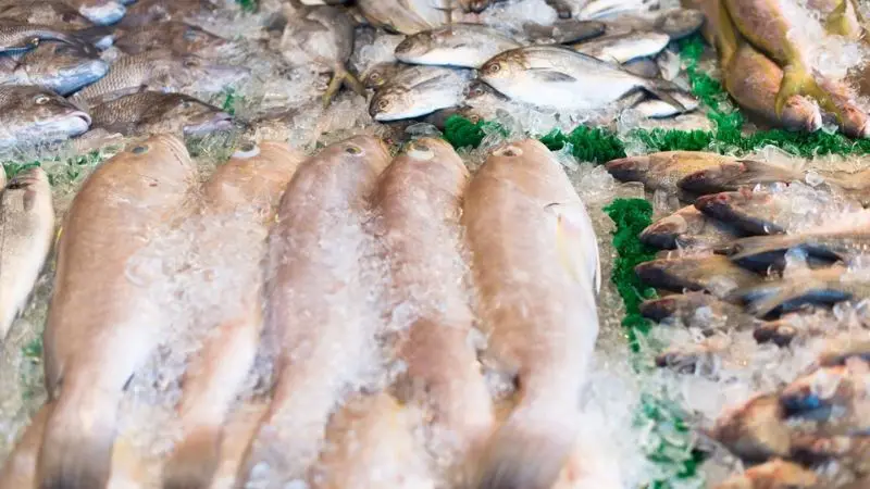  easy ways to keep fish fresh after catching