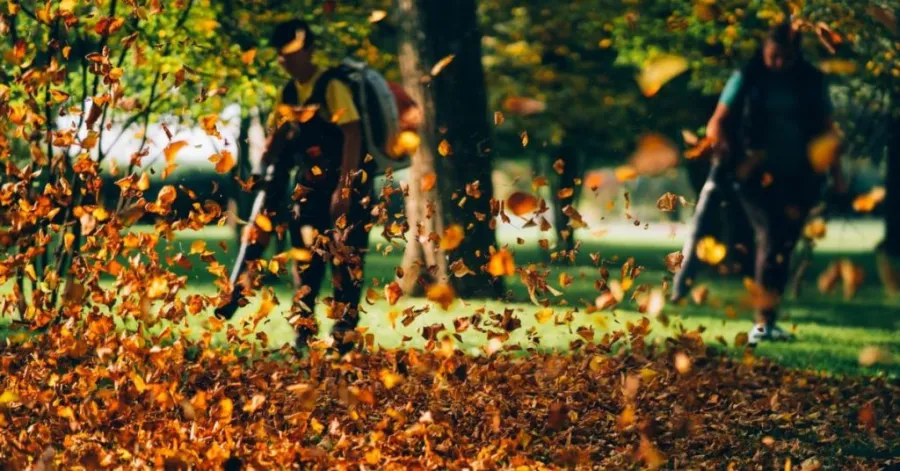 How to clean lawns after storms