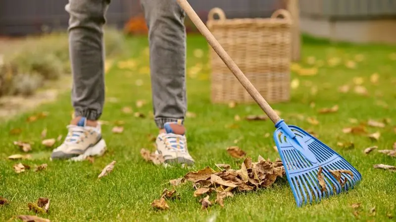 step-by-step guide to cleaning your lawn after a storm