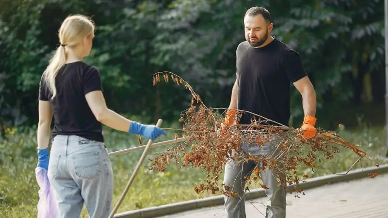 How to remove large branches and debris
