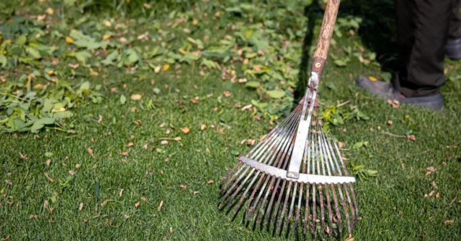 How to remove small twigs and debris from grass