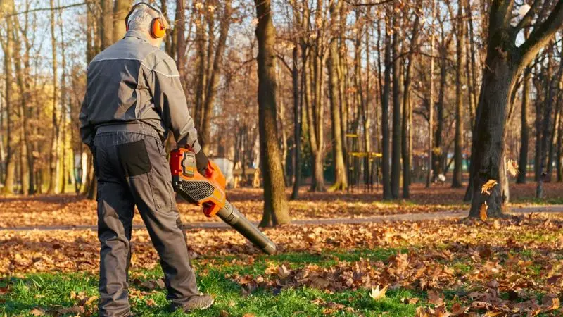 leaf blower for fast lawn cleanup