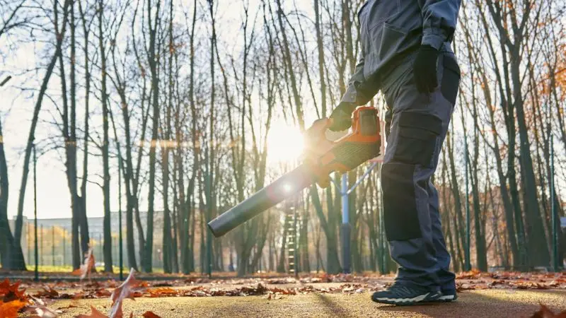 guide to remove small twigs and debris from the lawn