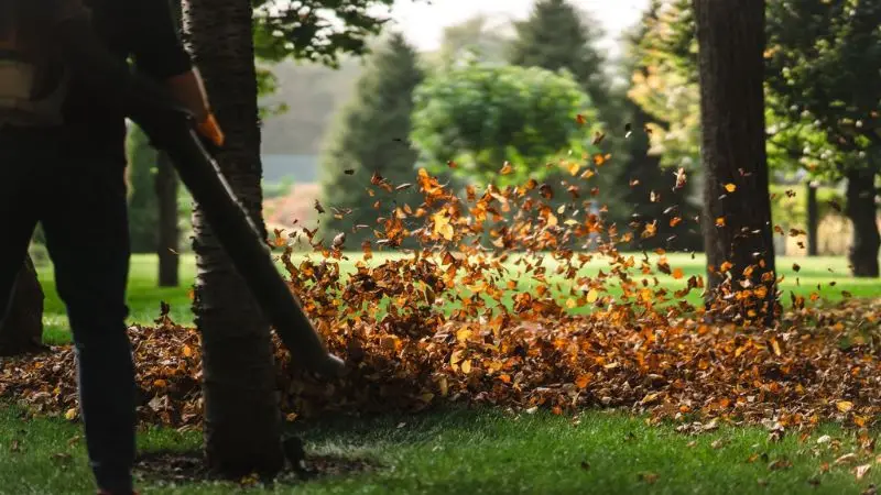 tips for efficient lawn cleanup and avoiding debris