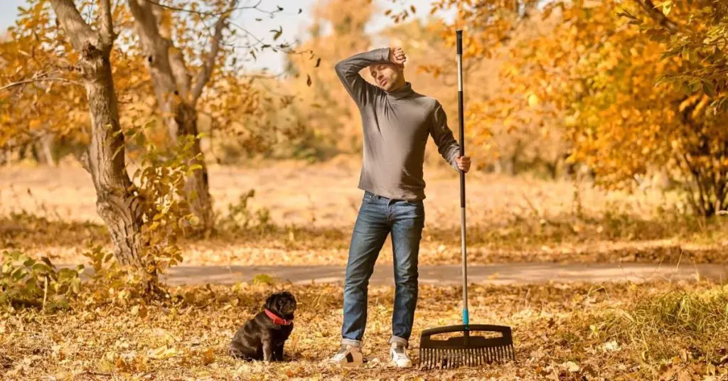 I hate raking leaves. What’s a better option