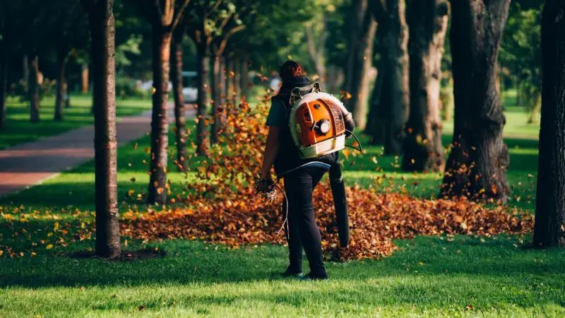 leaf blowing vs raking