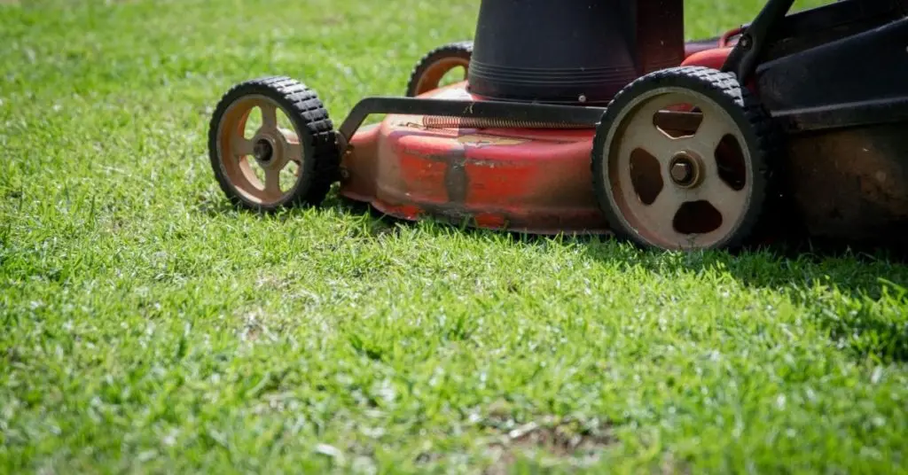 What tool helps clean yard debris without bending