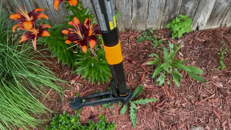 stand-up weed puller