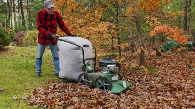 Rasensauger für eine gründliche Gartenreinigung