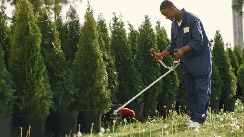 Schnelle Gartenreinigung, um Zeit zu sparen