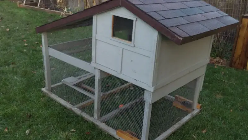 coop design options for small folks