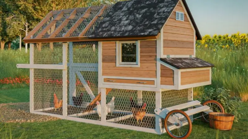 how to predator proof your chicken coop