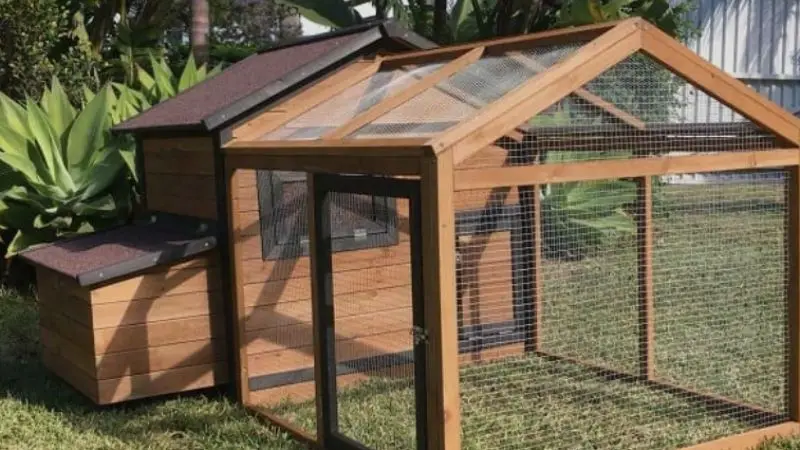 how to manage ventilation in chicken coop