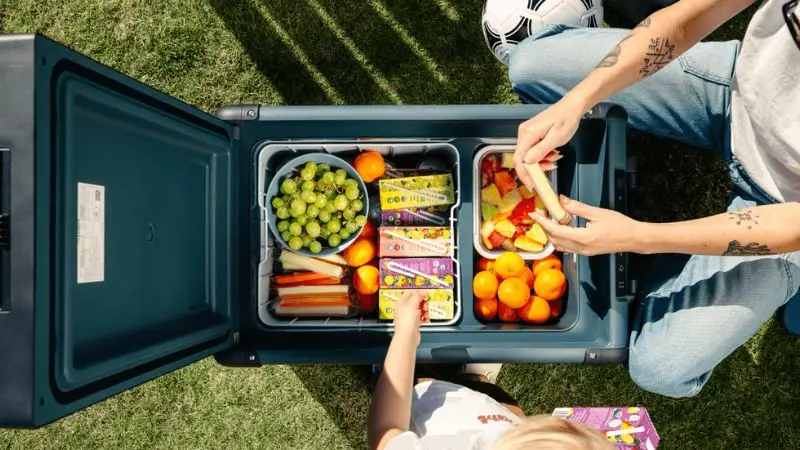 Thermoelectric Car Freezer