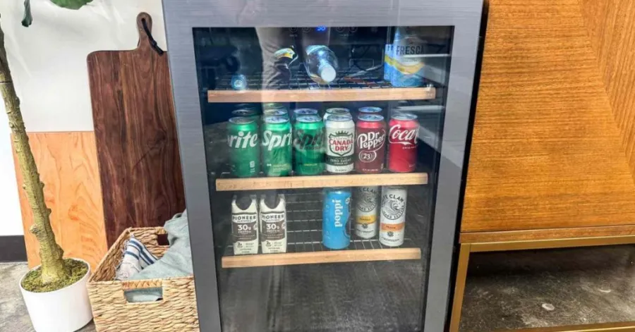 beverage cooler vs mini fridge