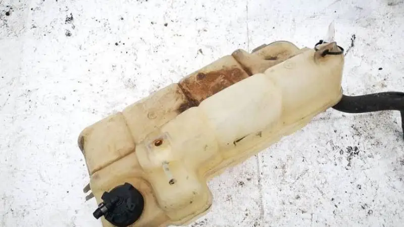 Signs of algae in the fuel tank