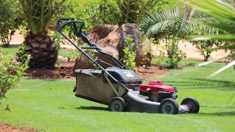  How maintenance affects long-term lawn care performance