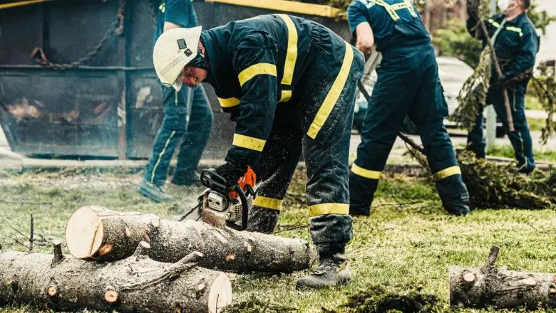 gas chainsaw vs. battery chainsaw