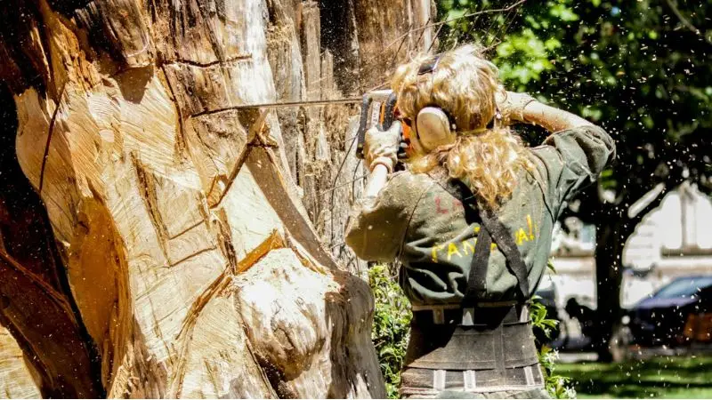 final tips for choosing the best chainsaw