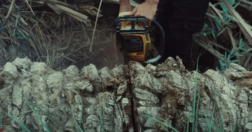 Eco-friendly fuel options for gas chainsaws