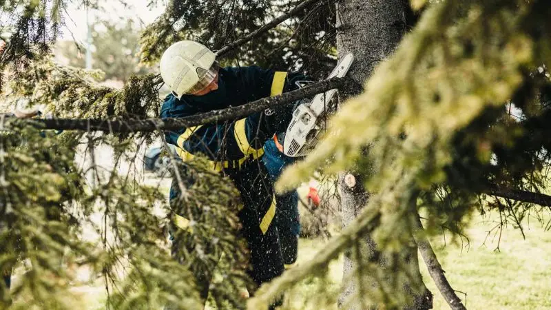 eco-friendly fuel comparison for gas chainsaw