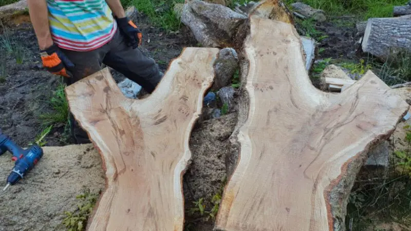 How to prepare a log for a wooden bench
