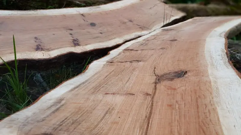 How to cut a  chainsaw log bench