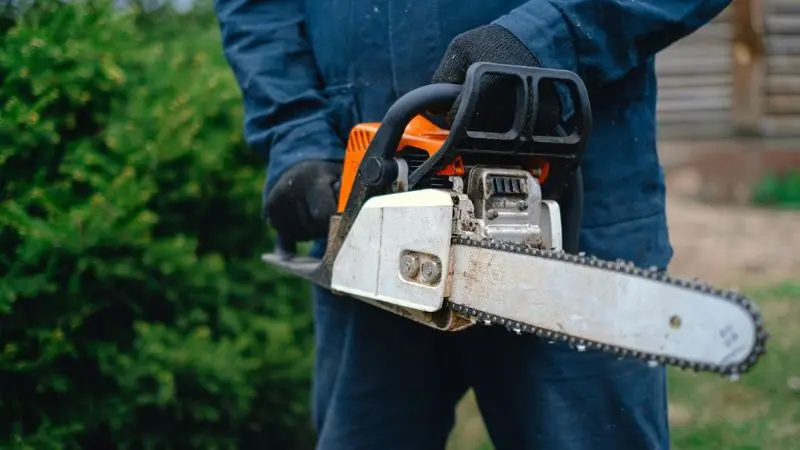 essential tools for reshaping the garden