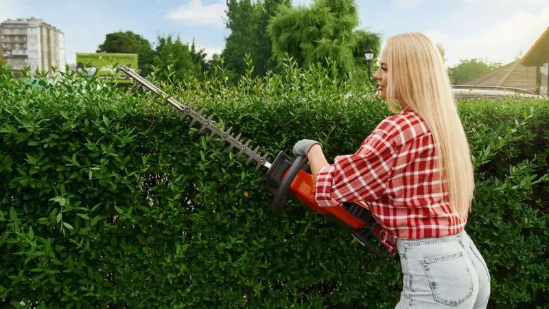 How to use a powered hedge trimmer for a clean and precise hedge trimmer