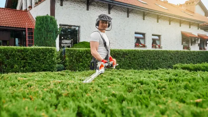 clean up and care after garden reshaping