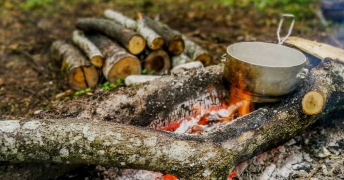 Cooking Using Wood Preparing Wood for Outdoor Cooking Guide for Beginners
