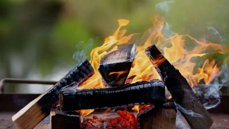 best types of wood for smoking and grilling