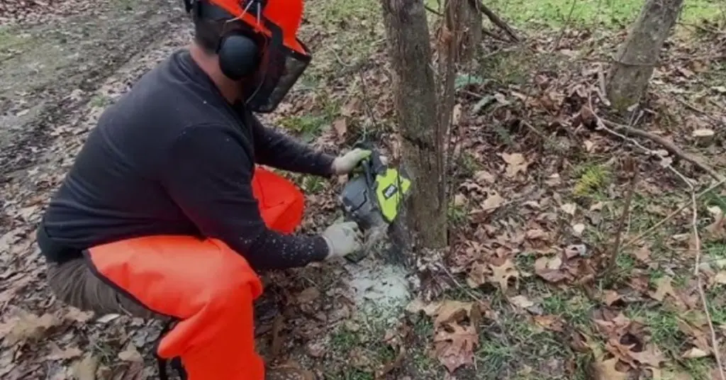 Land clearing for small farms