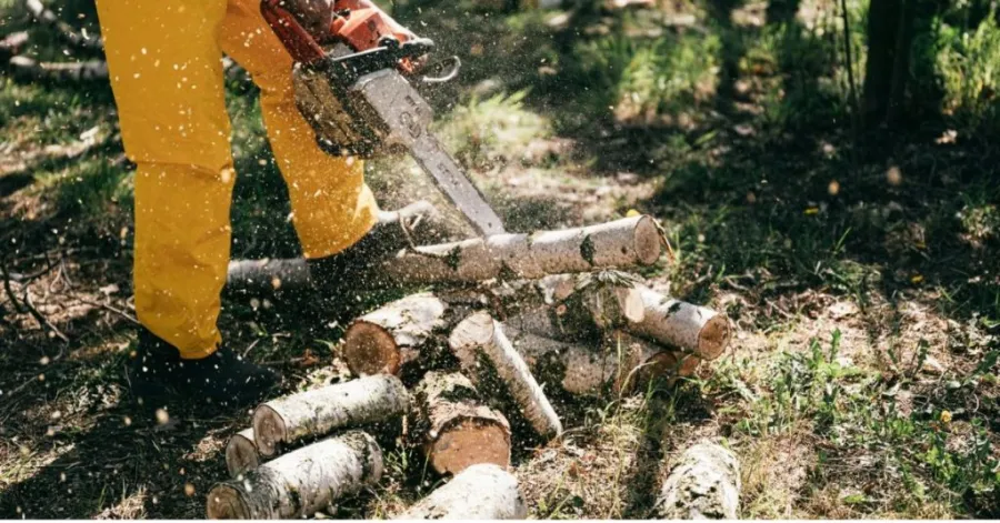 Are gas chainsaws banned in California