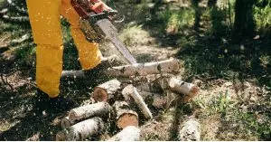 Are gas chainsaws banned in California