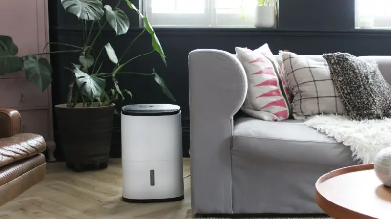 Dehumidifier Myths, Risks, and Proper Usage Tips