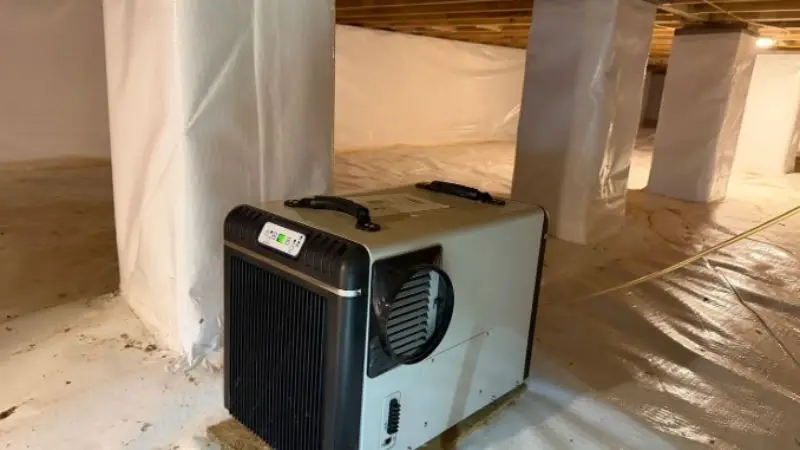 How to choose the right basement dehumidifier