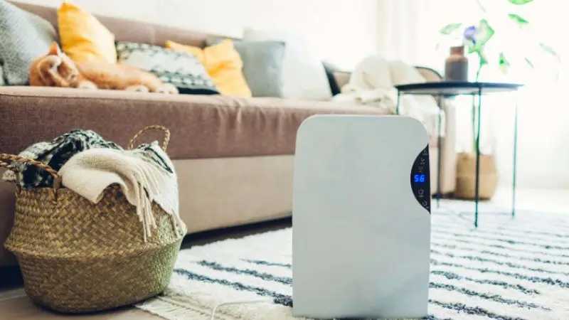 When to use a dehumidifier or air conditioner