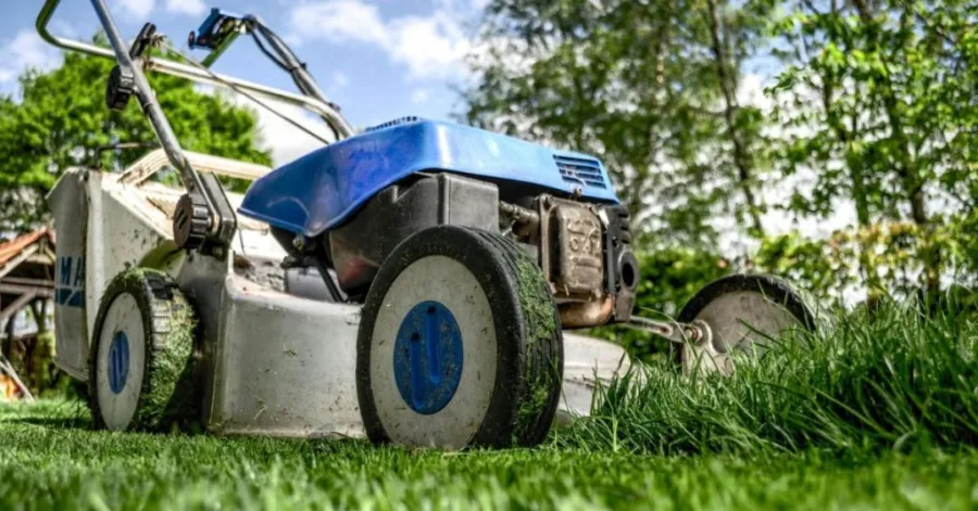 Lawn Sweeper vs Bagging Lawn Mower