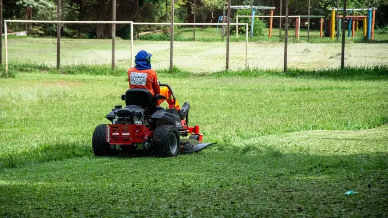 differences in lawn sweeper vs. bagging lawn mower