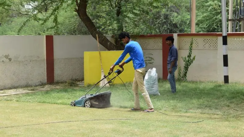 Which lawn care is best for your yard