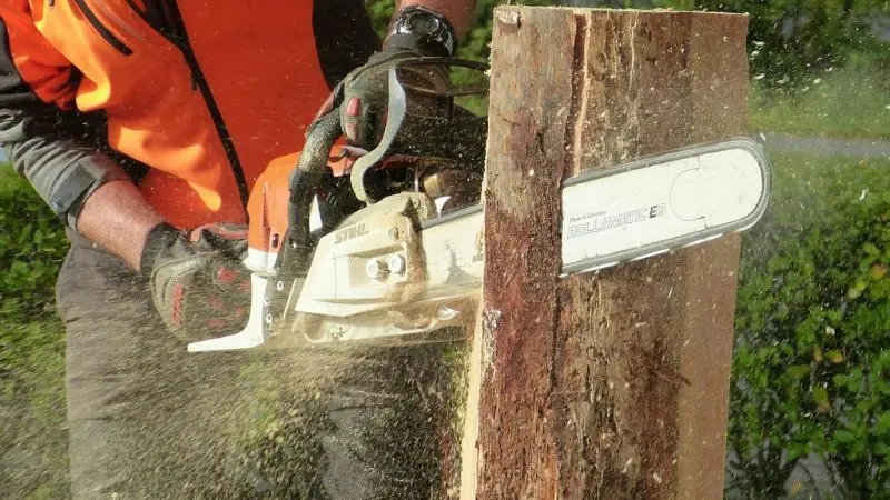 How gas-powered chainsaws changed the forestry and industry