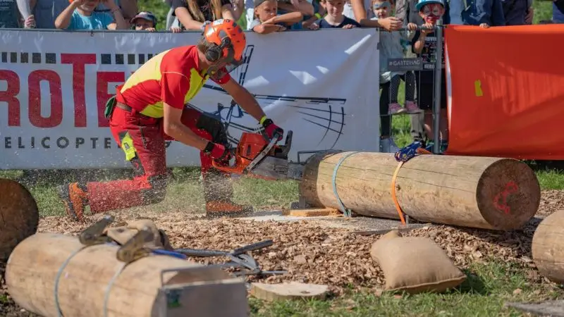  modern chainsaw improvements and how they work today