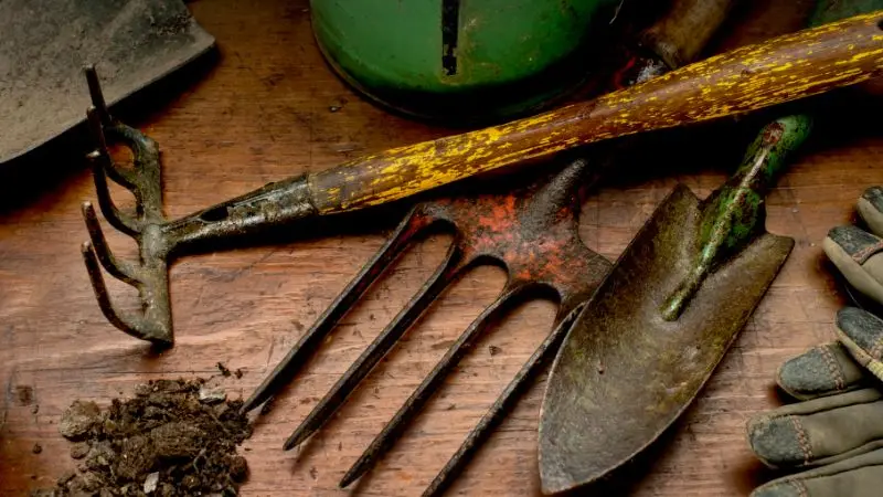 Why do garden tools become rusty
