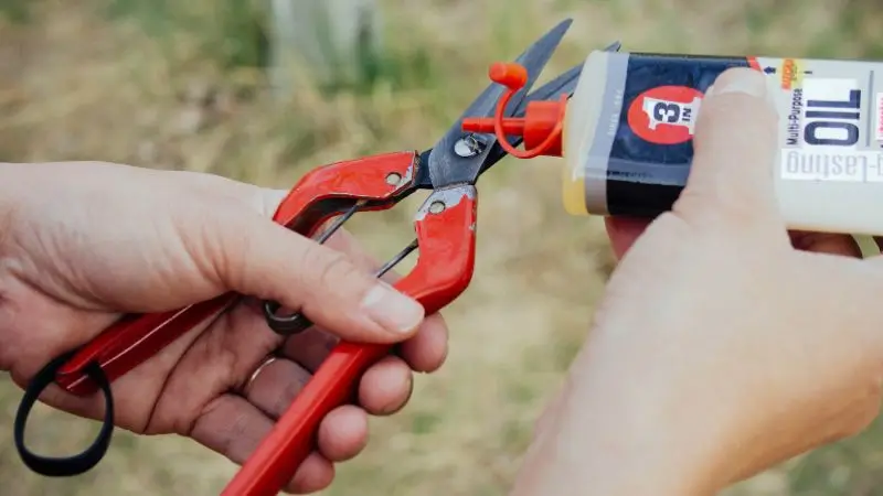 Why do garden tools become rusty